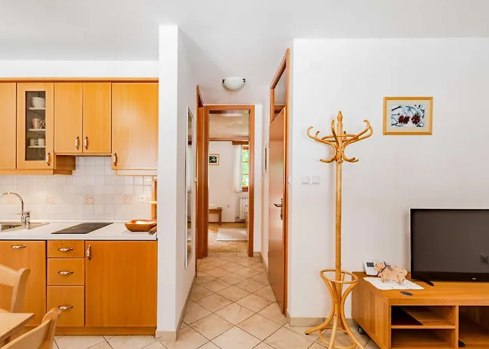 Amazing With Balcony - One Bedroom With Balcony Apartamento Log pod Mangartom